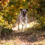 IMG_8864