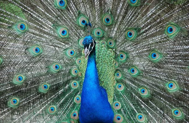 Parco Natura Viva