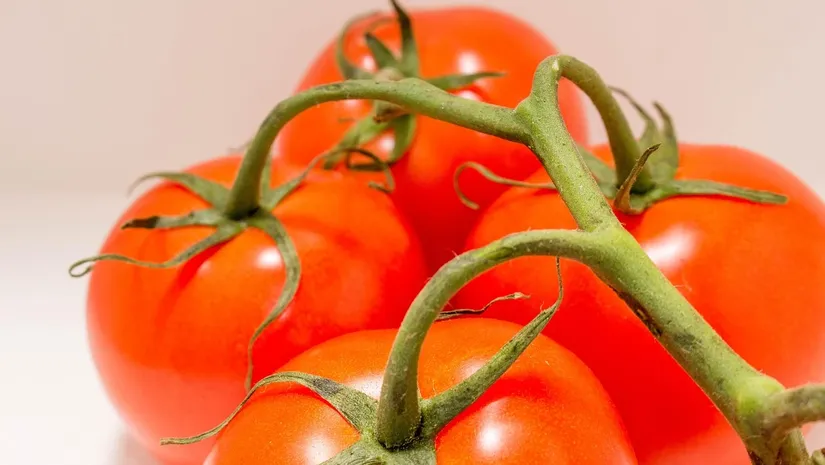 Vegetables and Fruits