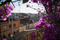 Giardini d’epoca e fiori moderni