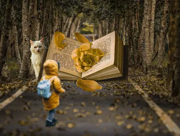 Libri e successo