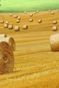Expo di Confagricoltura Lombardia