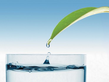 H20